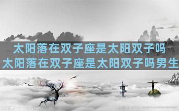 太阳落在双子座是太阳双子吗 太阳落在双子座是太阳双子吗男生